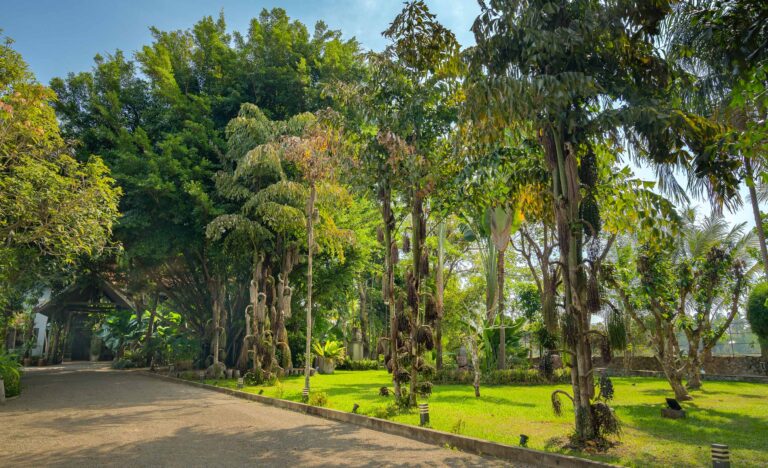 garden at private villa