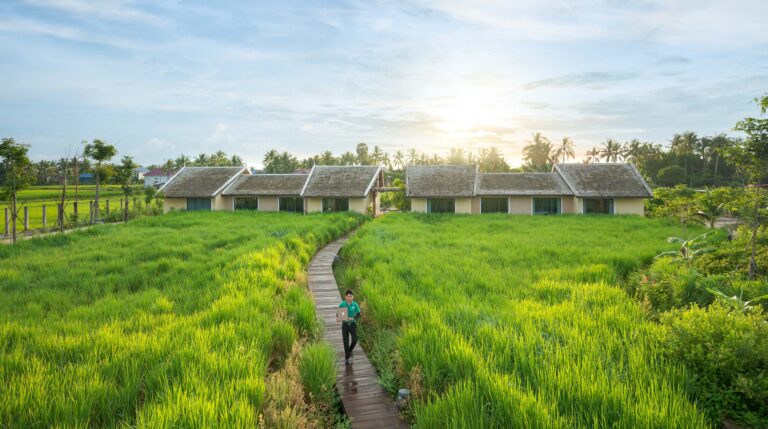Resort grounds in Kampot with pathway through green rice fields and guest walking – hotel photography Cambodia