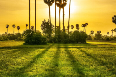 Siem Reap Photography