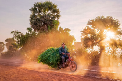 Siem Reap Photography